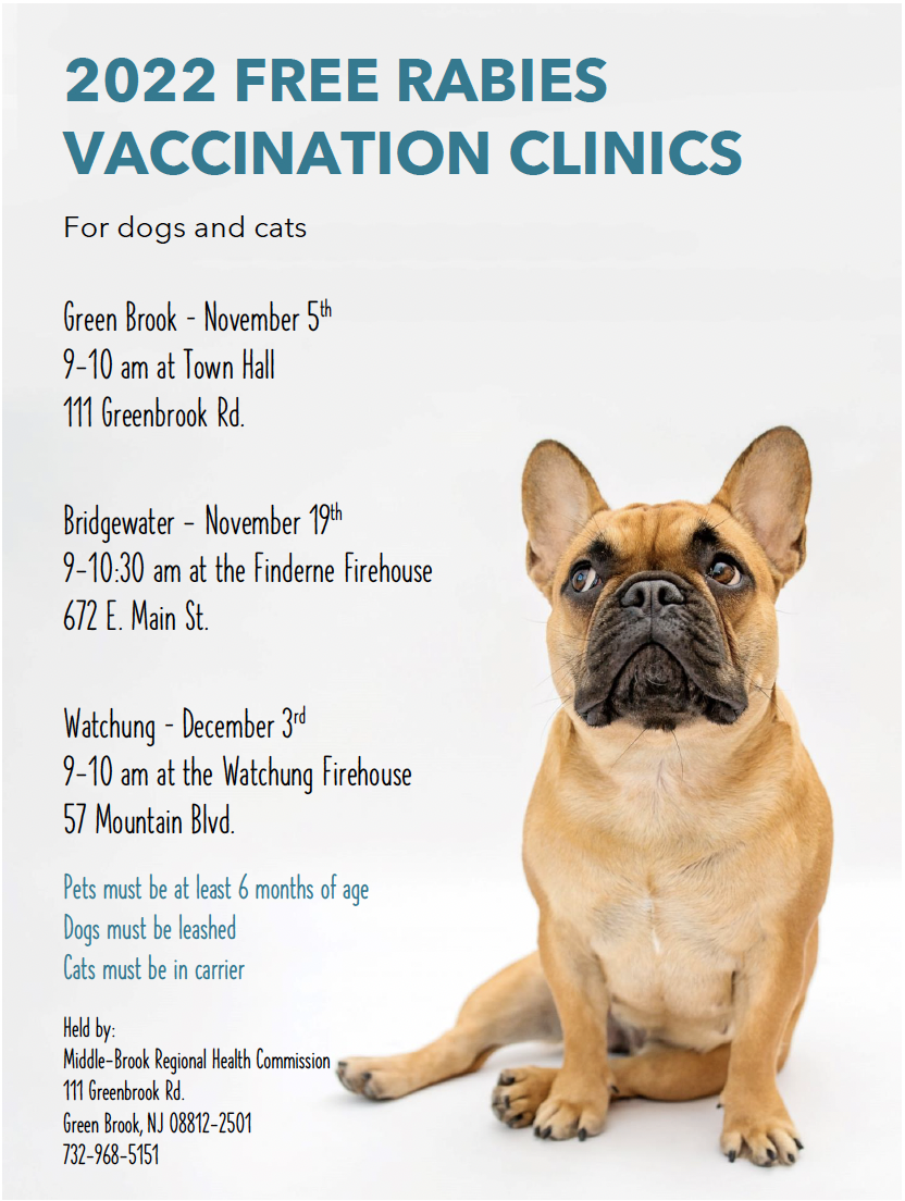 rabies vaccination clinic flyer